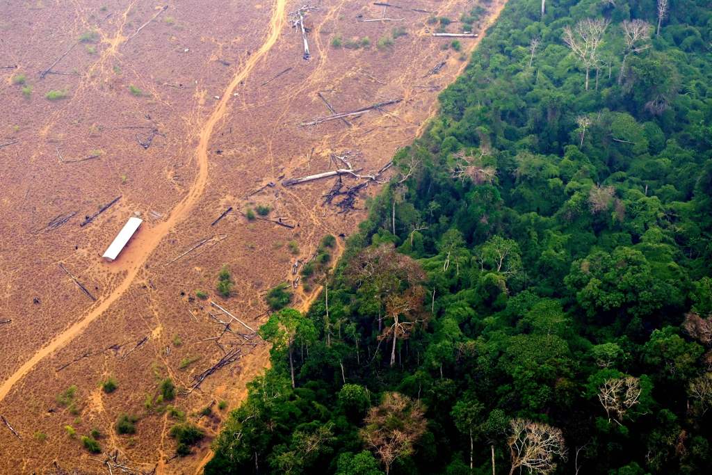 Brazil’s Amazon Betrayal